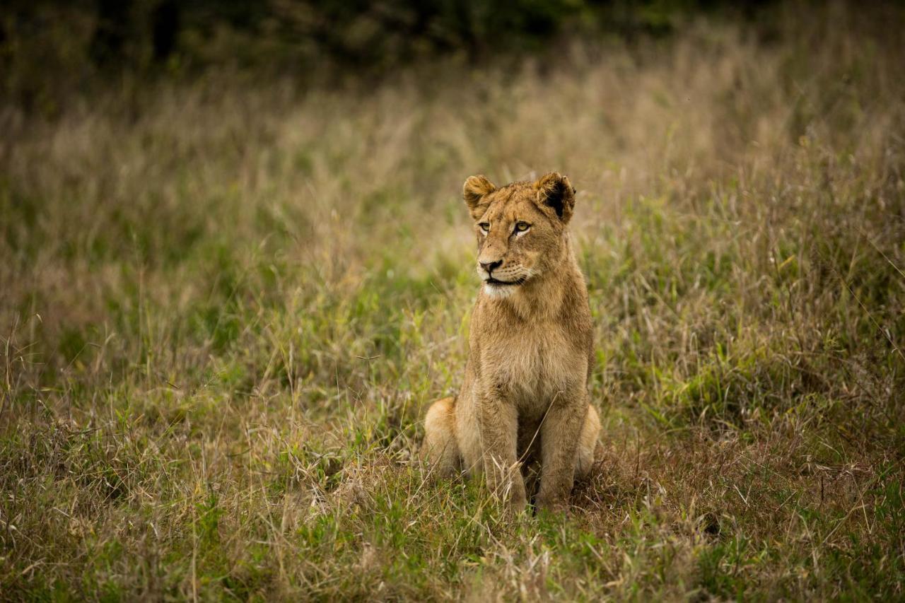 Mluwati Concession Hamiltons Tented Camp מראה חיצוני תמונה