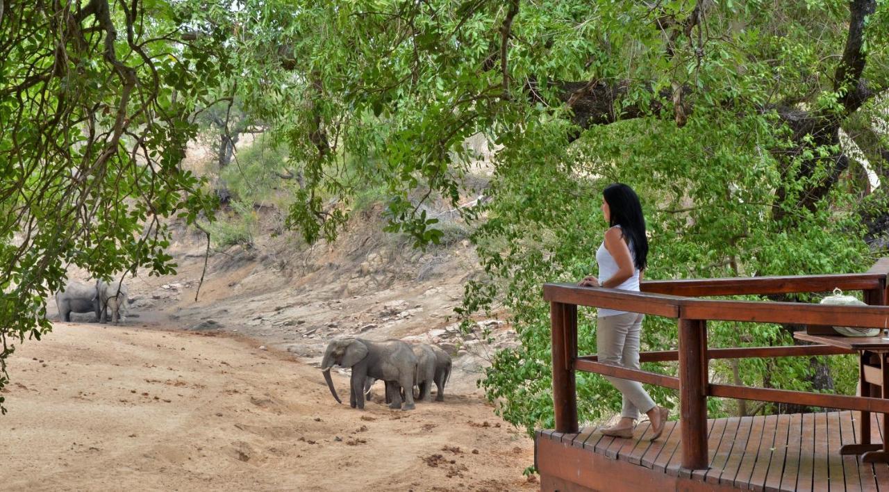 Mluwati Concession Hamiltons Tented Camp מראה חיצוני תמונה