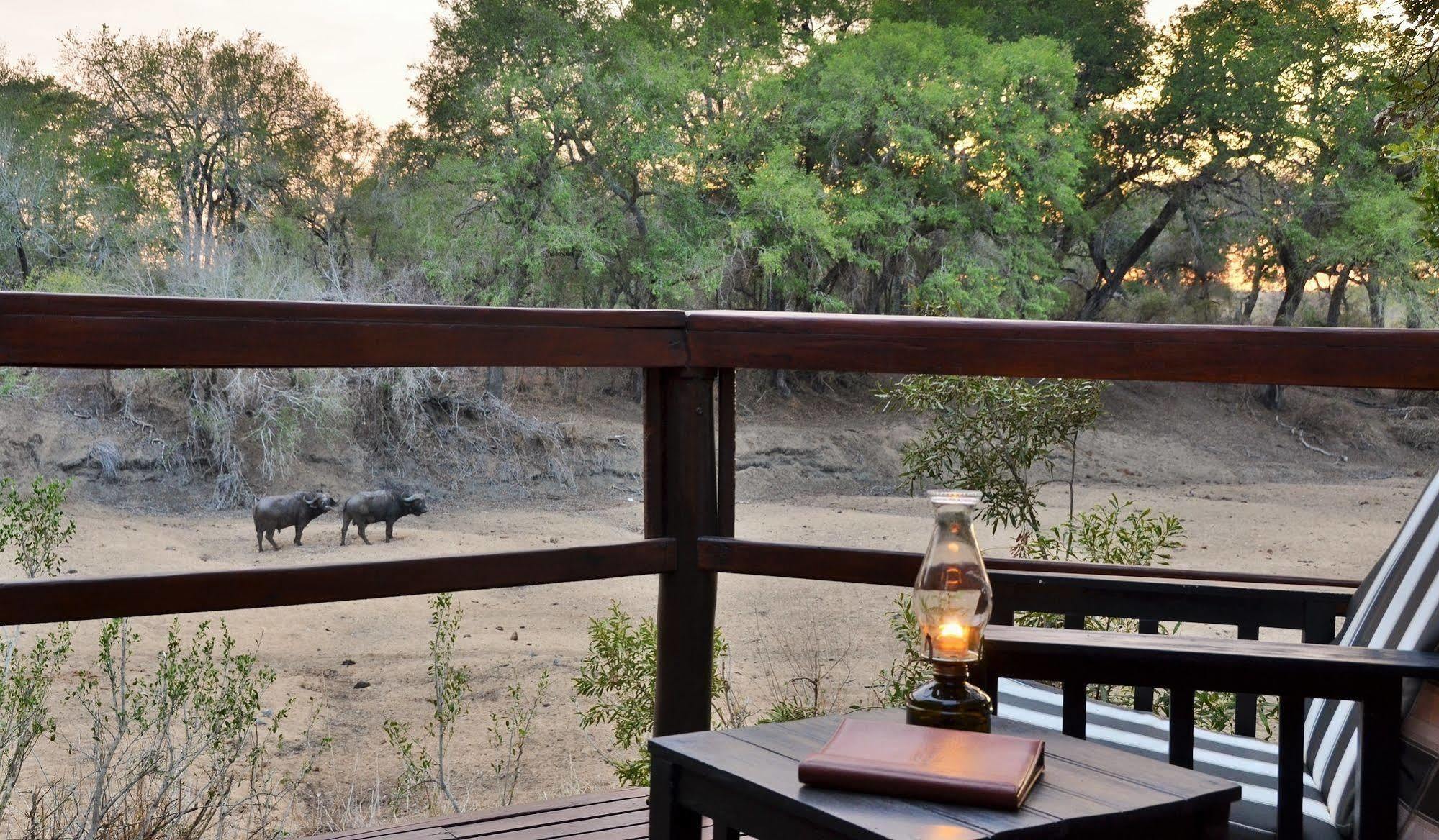 Mluwati Concession Hamiltons Tented Camp מראה חיצוני תמונה