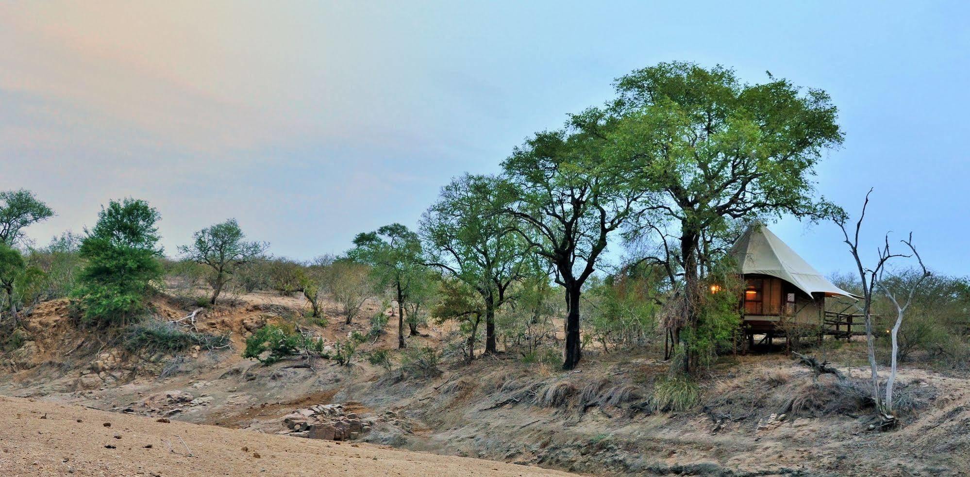 Mluwati Concession Hamiltons Tented Camp מראה חיצוני תמונה